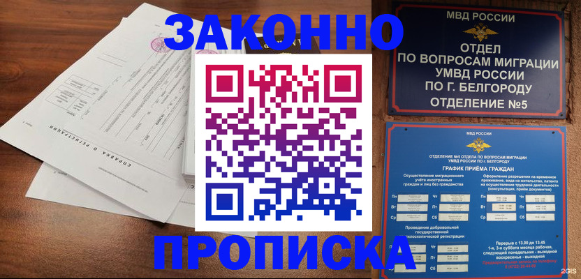 прописка в Владимире